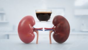 découvrez comment une consommation quotidienne de café influence la santé rénale, à travers les dernières découvertes scientifiques.